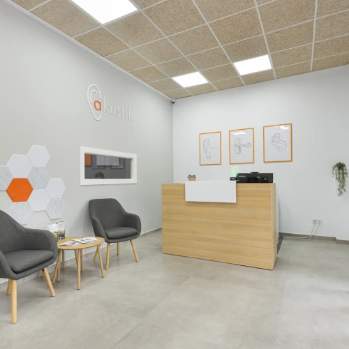 Akustik Centro Auditívo Javea Guía del Audífono