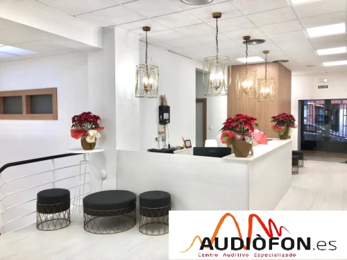 Audiofon Centro Auditívo Guía del Audífono