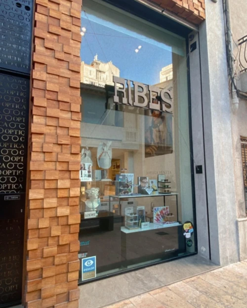 Centro Auditivo Ribes Guía del Audífono