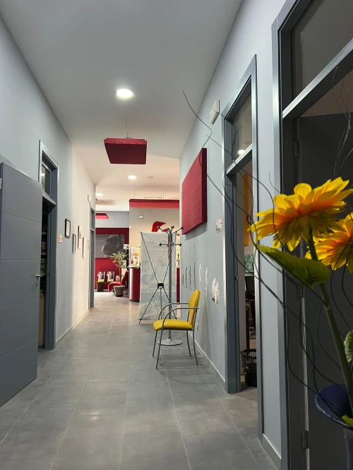 Centro Multidisciplinar Ondas S.L. Guía del Audífono