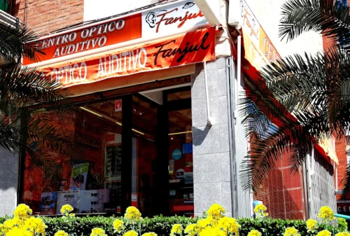 Centro Optico Auditivo Fanjul Guía del Audífono