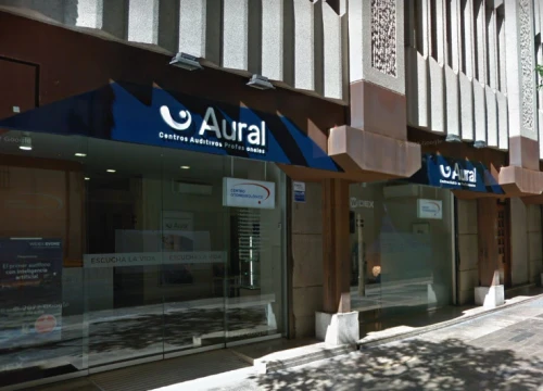 Centro Otoneurológico Guía del Audífono