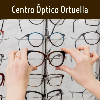 Centro Óptico Ortuella Guía del Audífono