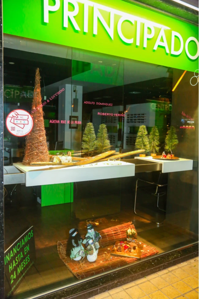 Audífonos en ASTURIAS, Centro Óptico Principado Audífonos en ASTURIAS, Centro Óptico Principado