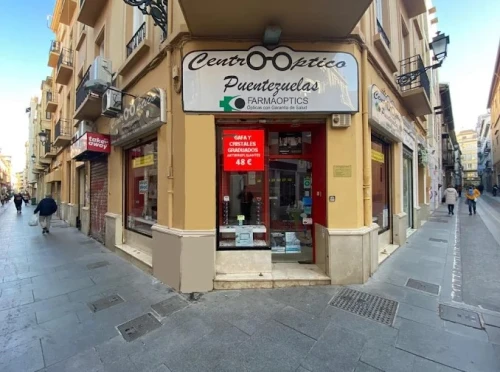 Centro Óptico Puentezuelas Guía del Audífono