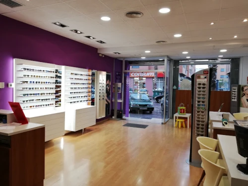 Centro Óptico Rambleta Guía del Audífono