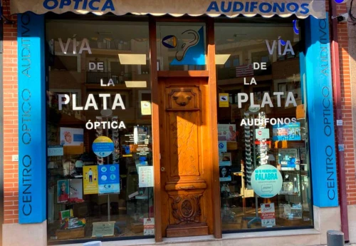 Centro Óptico y Auditívo Vía de la Plata Guía del Audífono