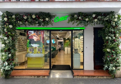 Cottet Óptica y Audiología Guía del Audífono