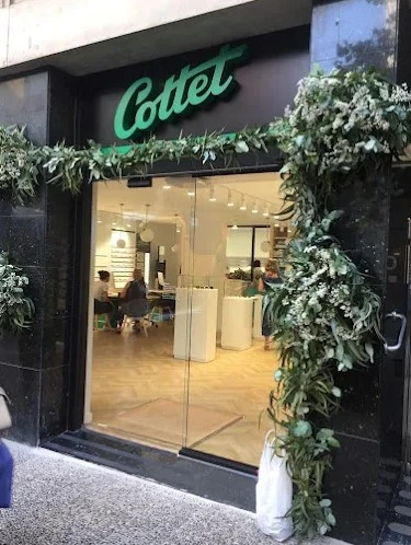 Cottet Óptica y Audiología Girona Guía del Audífono