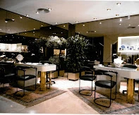 Esquembre Óptica Guía del Audífono