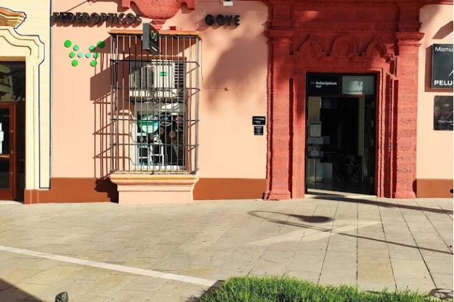 Audífonos en CADIZ, Federópticos Goye Audífonos en CADIZ, Federópticos Goye