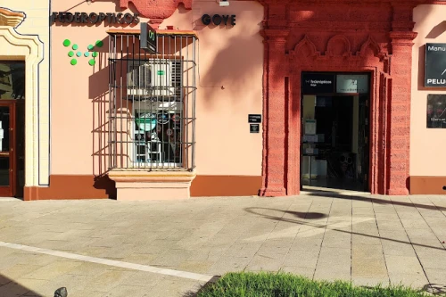 Federópticos Goye Guía del Audífono