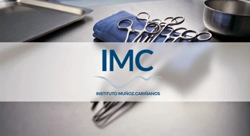Instituto Muñoz Cariñanos Guía del Audífono