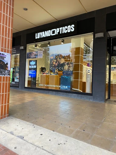 Luyando Ópticos Amurrio Guía del Audífono