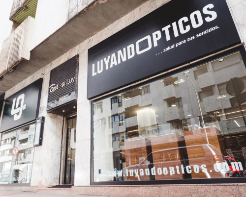 Luyando Óticos Guía del Audífono