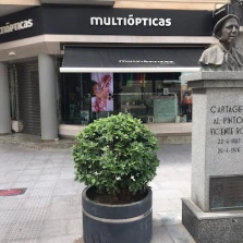 Audífonos en MURCIA, Multiópticas Cartagena Audífonos en MURCIA, Multiópticas Cartagena