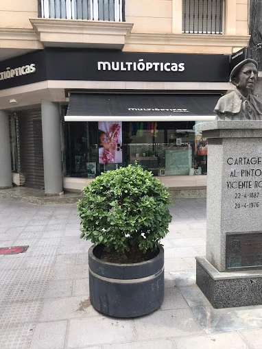 Multiópticas Cartagena Guía del Audífono