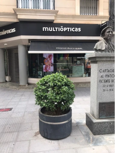 Audífonos en MURCIA, Multiópticas Cartagena Audífonos en MURCIA, Multiópticas Cartagena