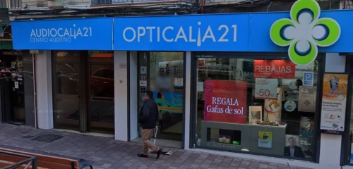 Opticalia 21 Constitucion Guía del Audífono