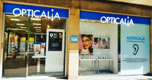 Opticalia Centre Visio Grup Solsona Guía del Audífono