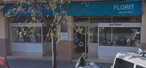 Opticalia Florit Prat De La Riba Guía del Audífono