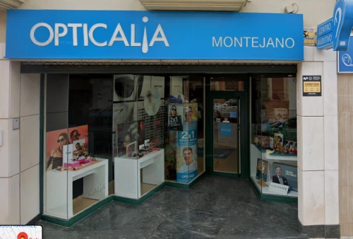 Opticalia Montejano Guía del Audífono