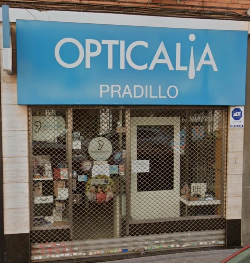 Opticalia Pradillo Guía del Audífono