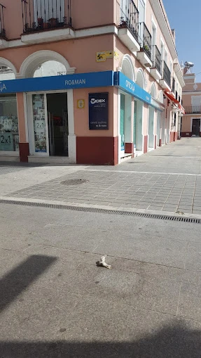 Opticalia Royman Puerto Real Guía del Audífono