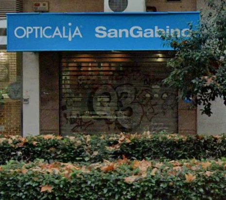Opticalia San Gabino Profesor Waksman Guía del Audífono