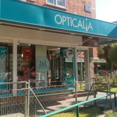 Opticalia Zarzaquemada Guía del Audífono