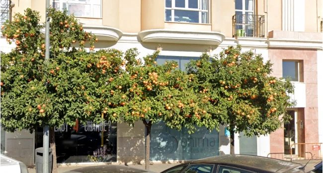 Aud�fonos en ALICANTE, Proakustik Instituto para el O�do