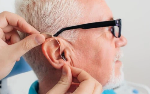 Punt de Vista Sueca Guía del Audífono