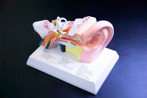 Óptica Pravia Guía del Audífono