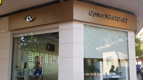 Óptica Santafaz Guía del Audífono