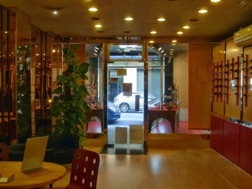 Gu�a del Aud�fono