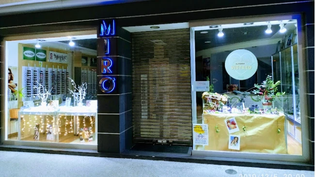 Aud�fonos en LUGO, �ptica Mir�