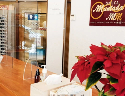 Gu�a del Aud�fono