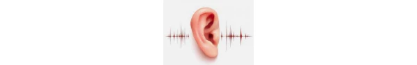 Los 3 mejores centros auditivos de audifonos en Merida Los 3 mejores centros auditivos de audifonos en Merida